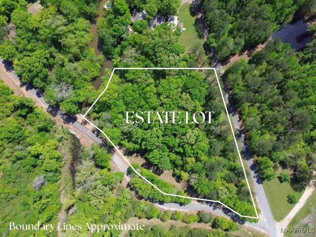 0 Arrowhead Pt, Orrville, AL 36767 - photo 3