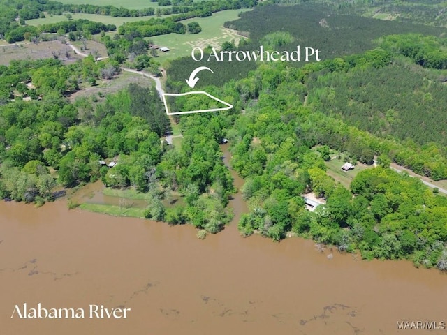 0 Arrowhead Pt, Orrville, AL 36767 - photo 2