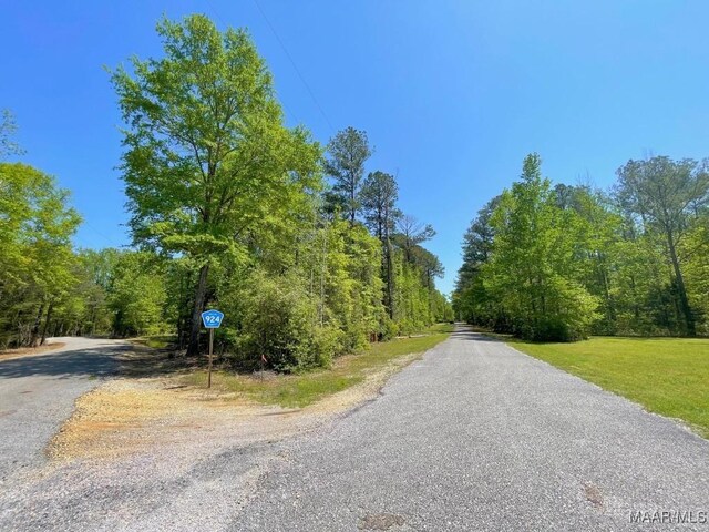 0 Arrowhead Pt, Orrville, AL 36767 - photo 4