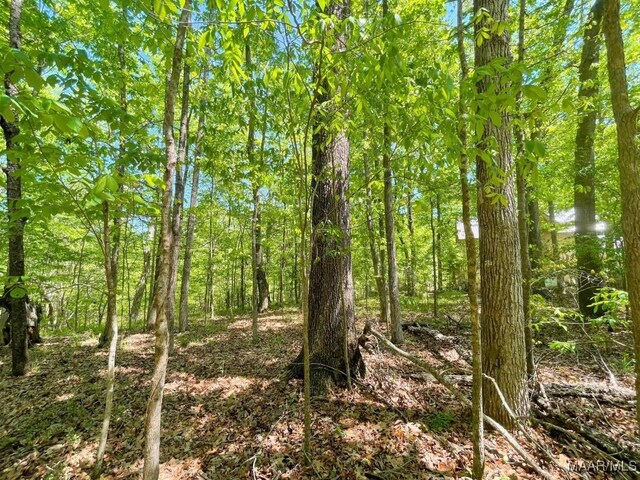 0 Arrowhead Pt, Orrville, AL 36767 - photo 5