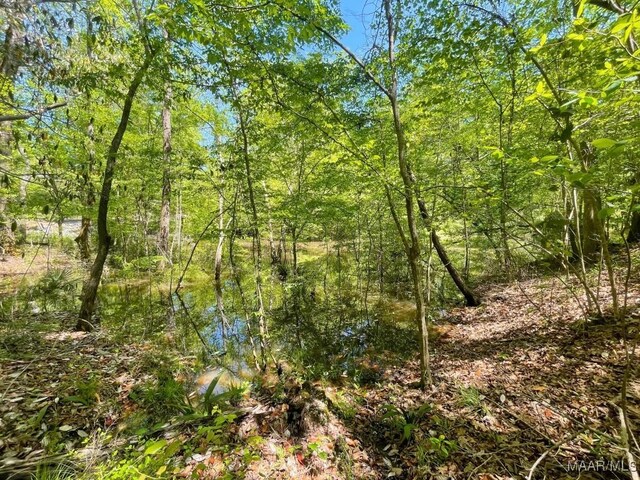 0 Arrowhead Pt, Orrville, AL 36767 - photo 6
