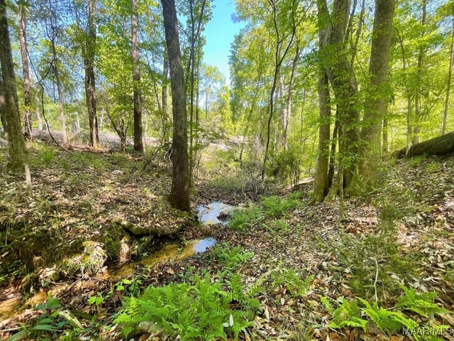 0 Arrowhead Pt, Orrville, AL 36767 - photo 7