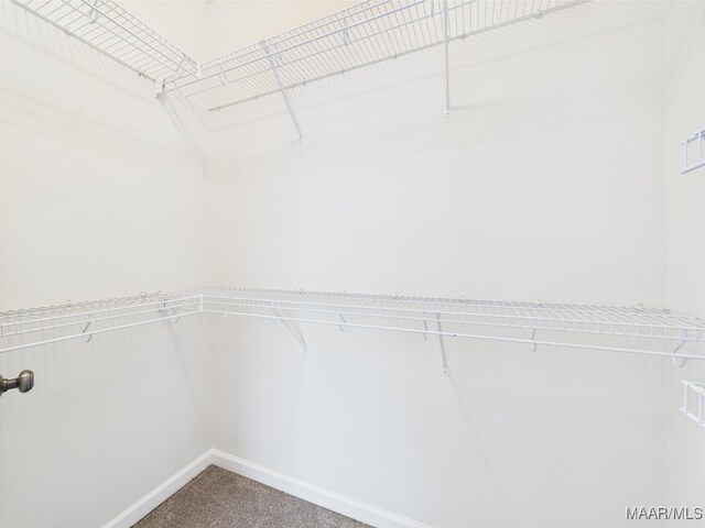 175 Rosemere Dr, Tallassee, AL 36078 - walk in closet featuring carpet flooring
