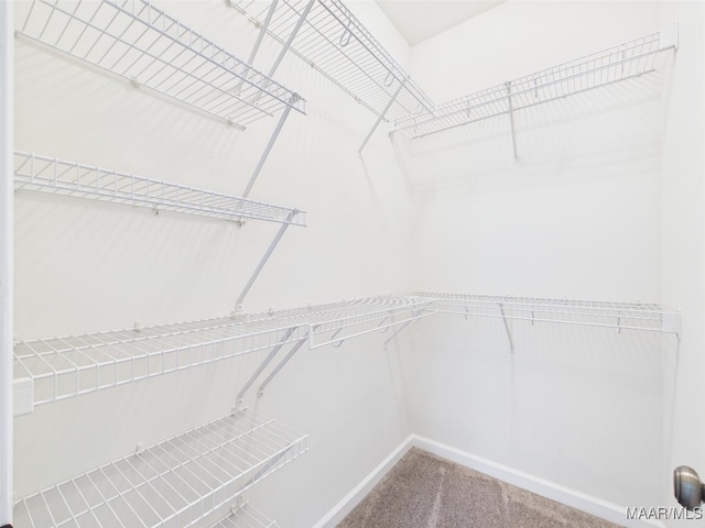175 Rosemere Dr, Tallassee, AL 36078 - spacious closet featuring carpet flooring