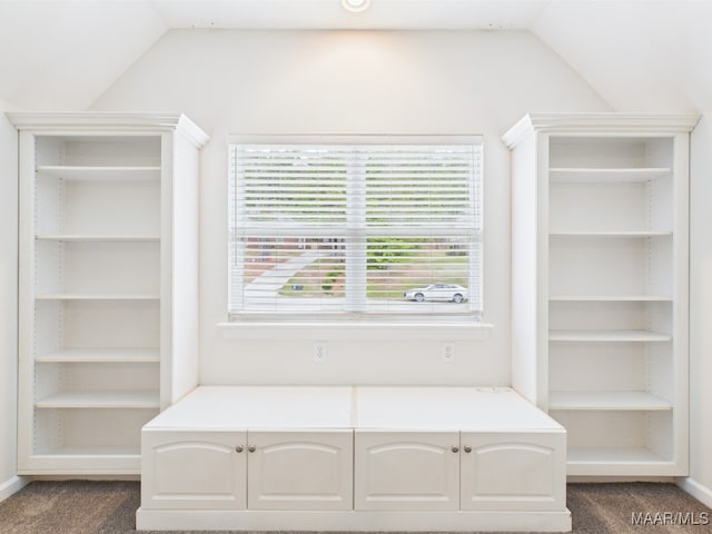 175 Rosemere Dr, Tallassee, AL 36078 - unfurnished room featuring lofted ceiling, dark carpet, and baseboards
