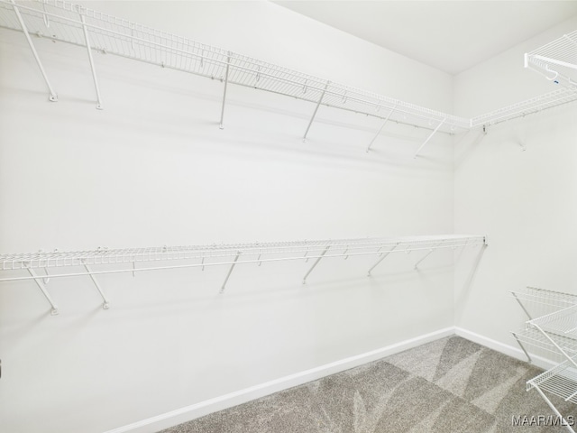 175 Rosemere Dr, Tallassee, AL 36078 - spacious closet with carpet flooring