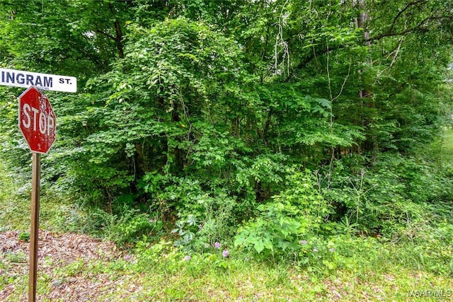 0 Noble Rd, Tallassee, AL 36078