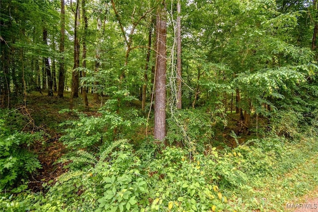0 Noble Rd, Tallassee, AL 36078