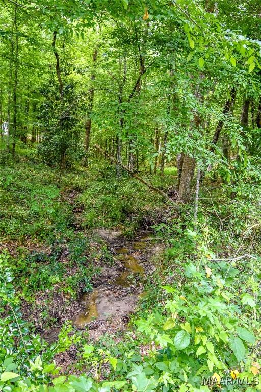 0 Noble Rd, Tallassee, AL 36078