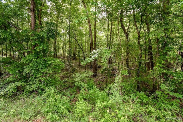 0 Noble Rd, Tallassee, AL 36078