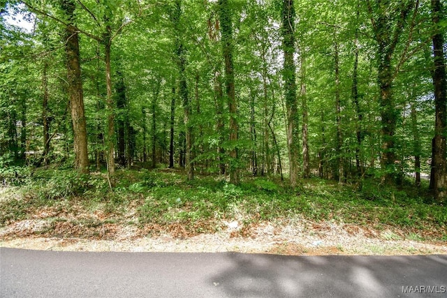 0 Noble Rd, Tallassee, AL 36078