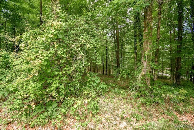 0 Noble Rd, Tallassee, AL 36078