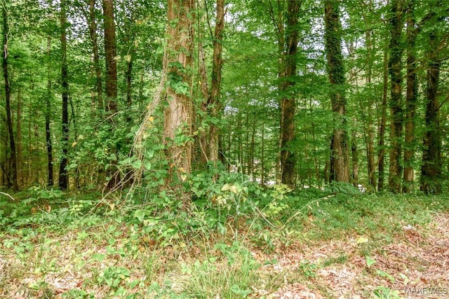 0 Noble Rd, Tallassee, AL 36078