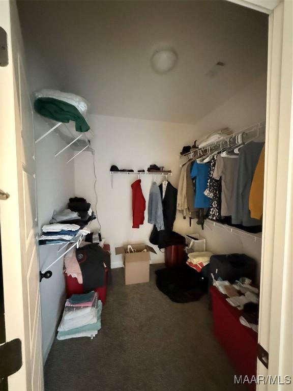 walk in closet featuring carpet