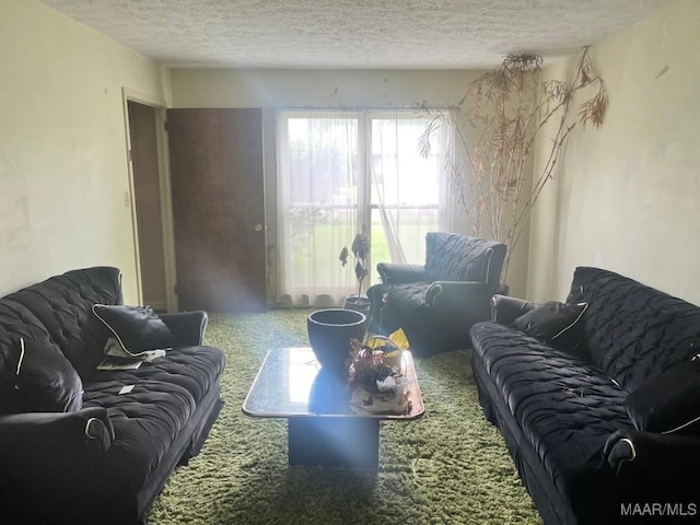 3600 Hunting Creek Rd, Montgomery, AL 36116 - carpeted living room featuring a textured ceiling