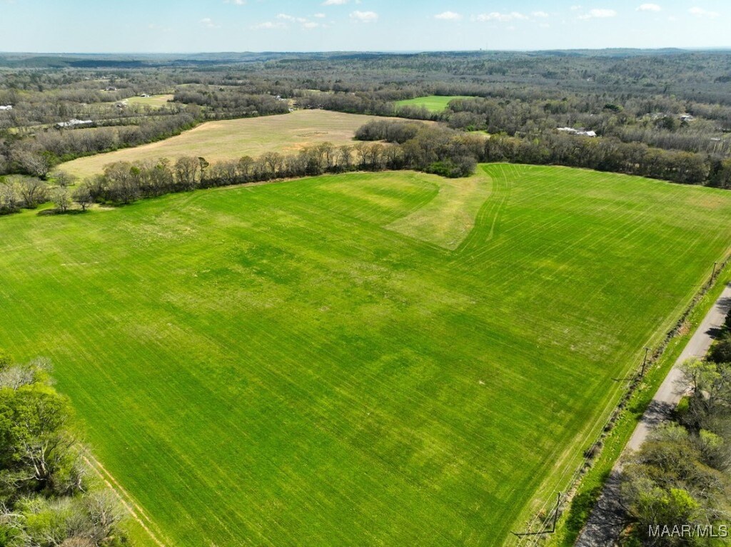 5 County Road 81st Rd, Booth, AL 36067 - photo 1
