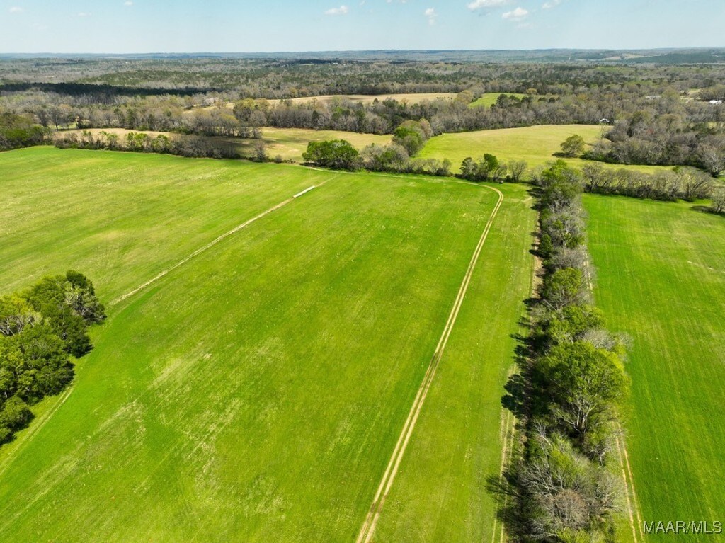 5 County Road 81st Rd, Booth, AL 36067 - photo 2
