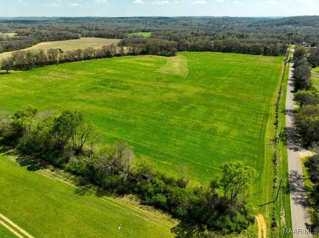 5 County Road 81st Rd, Booth, AL 36067 - photo 3