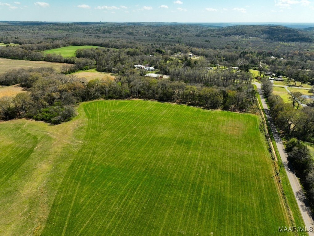 5 County Road 81st Rd, Booth, AL 36067 - photo 4