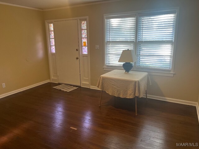 foyer featuring ornamental molding, wood finished floors, plenty of natural light, and baseboards