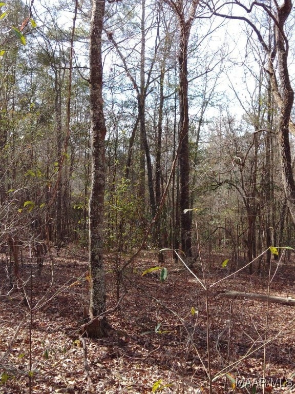 1373 County Road 39th Rd, Deatsville, AL 36022 - photo 6
