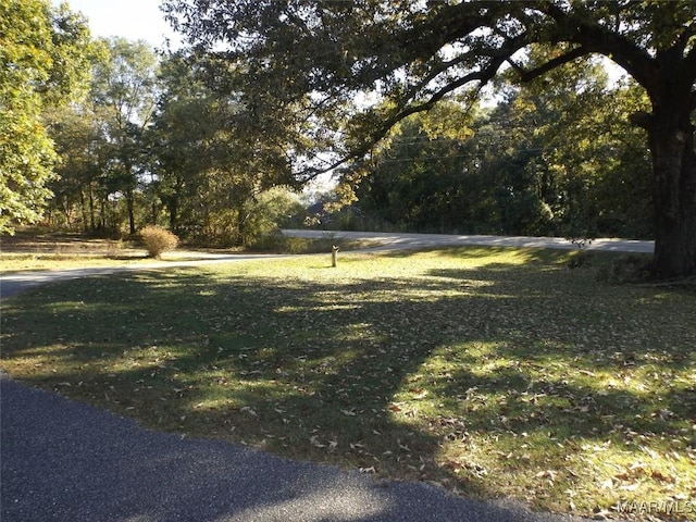 1373 County Road 39th Rd, Deatsville, AL 36022 - photo 25
