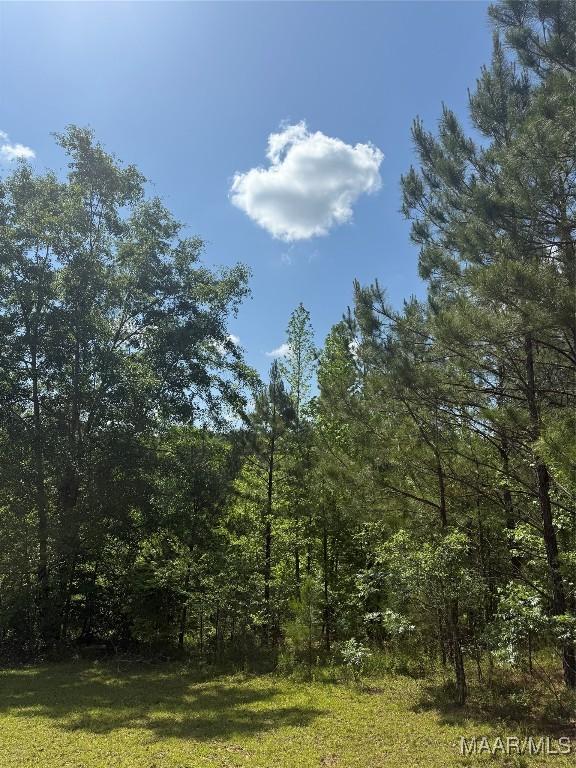0 Bonnie Blue Rd, Prattville, AL 36067 - photo 1