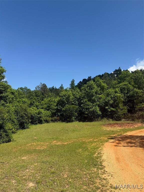 0 Bonnie Blue Rd, Prattville, AL 36067 - photo 2
