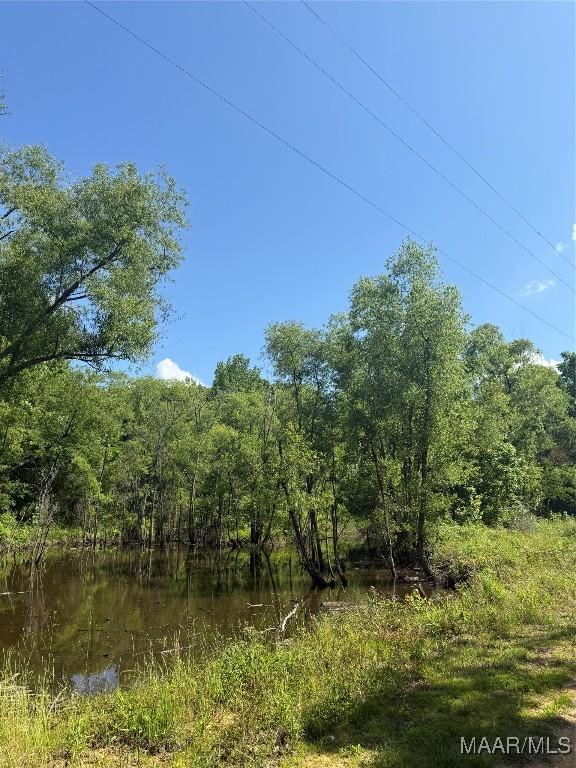 0 Bonnie Blue Rd, Prattville, AL 36067 - photo 3