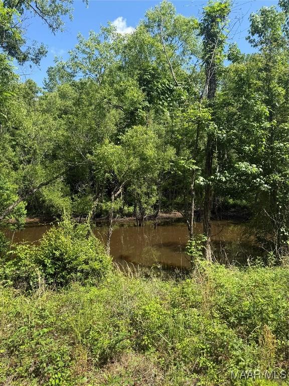 0 Bonnie Blue Rd, Prattville, AL 36067 - photo 4