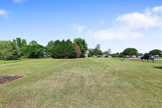 65 Copper Ridge Ct, Deatsville, AL 36022 - view of yard