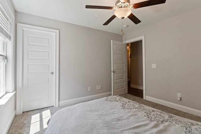 bedroom featuring multiple windows, carpet, baseboards, and a ceiling fan
