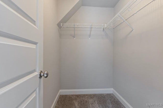 walk in closet with carpet floors