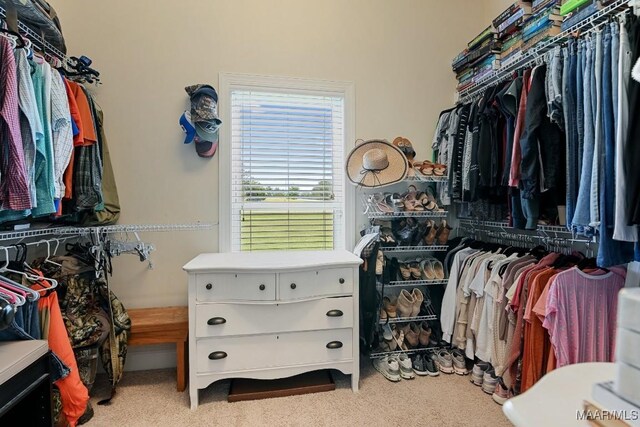 231 Chesson Ct, Fitzpatrick, AL 36029 - spacious closet with carpet flooring