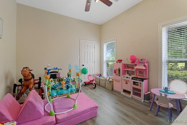 231 Chesson Ct, Fitzpatrick, AL 36029 - game room with wood finished floors, healthy amount of natural light, and a ceiling fan