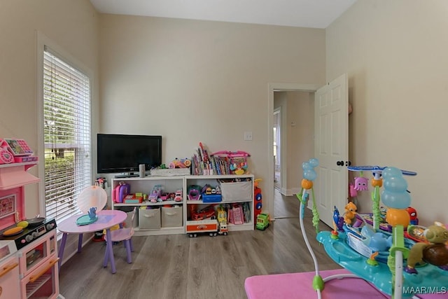 231 Chesson Ct, Fitzpatrick, AL 36029 - playroom featuring wood finished floors