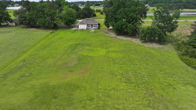 231 Chesson Ct, Fitzpatrick, AL 36029 - view of subject property