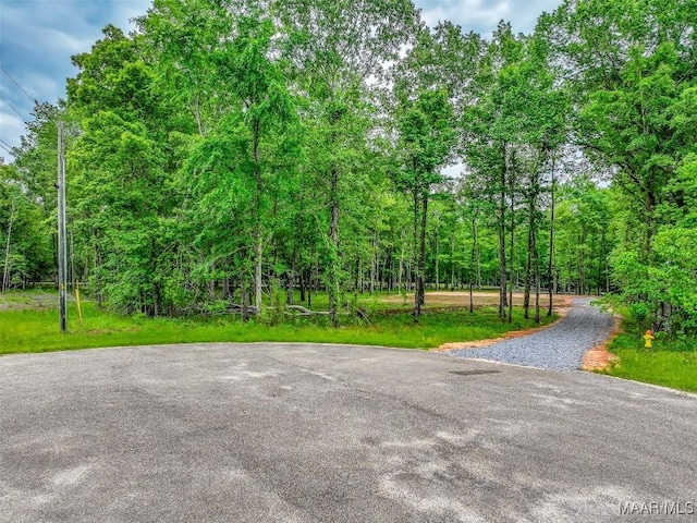 181 Hickory Hollow Cv, Cecil, AL 36013