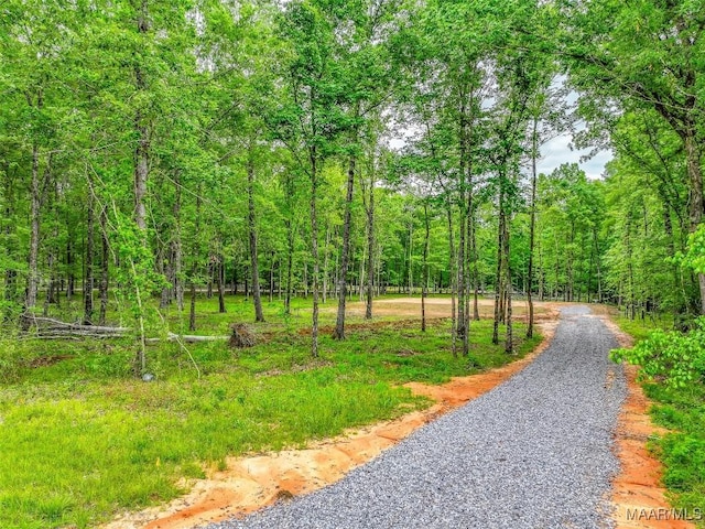 181 Hickory Hollow Cv, Cecil, AL 36013