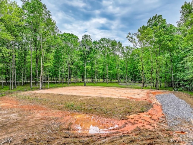 181 Hickory Hollow Cv, Cecil, AL 36013