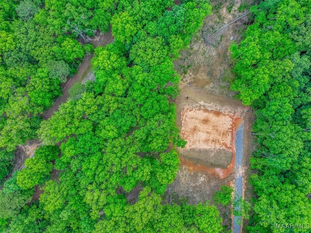181 Hickory Hollow Cv, Cecil, AL 36013
