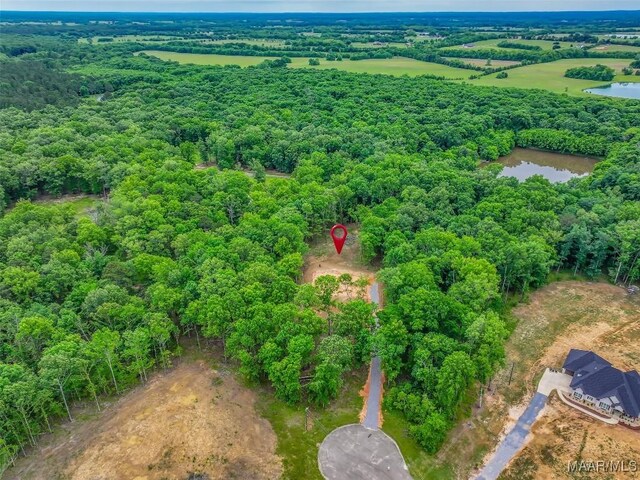 181 Hickory Hollow Cv, Cecil, AL 36013