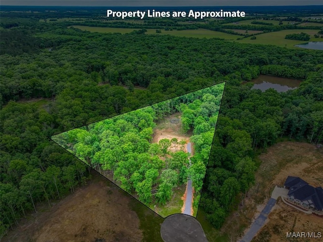 181 Hickory Hollow Cv, Cecil, AL 36013