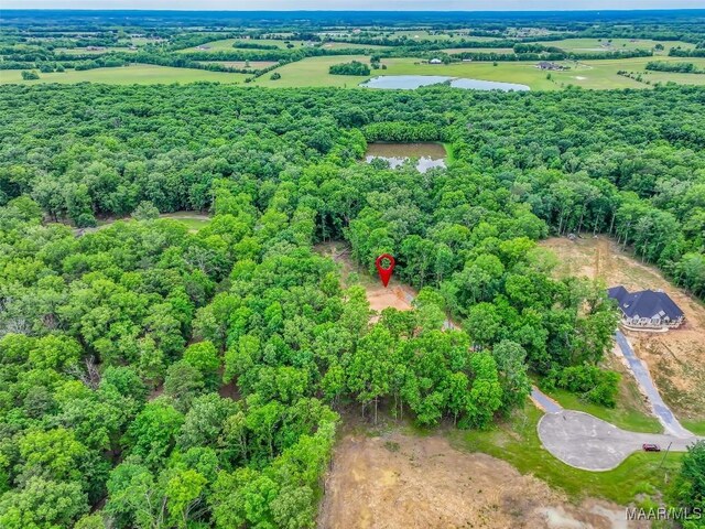 181 Hickory Hollow Cv, Cecil, AL 36013