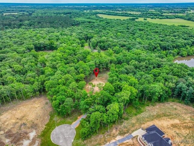 181 Hickory Hollow Cv, Cecil, AL 36013