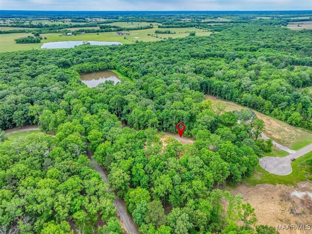 181 Hickory Hollow Cv, Cecil, AL 36013