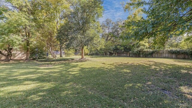 3469 Warrenton Rd, Montgomery, AL 36111 - view of yard