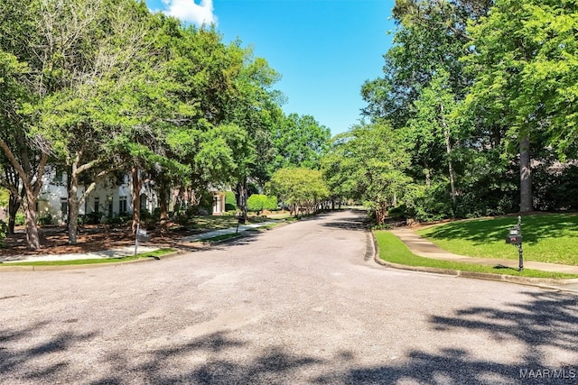 3801 Colline Dr, Montgomery, AL 36106 - photo 6