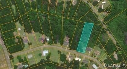 0 County Road 232nd Rd, Valley Grande, AL 36701 - photo 1