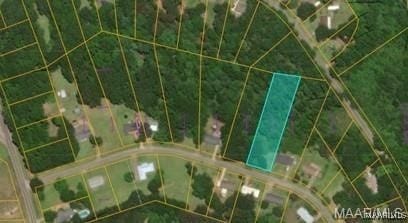 0 County Road 232nd Rd, Valley Grande, AL 36701 - photo 1
